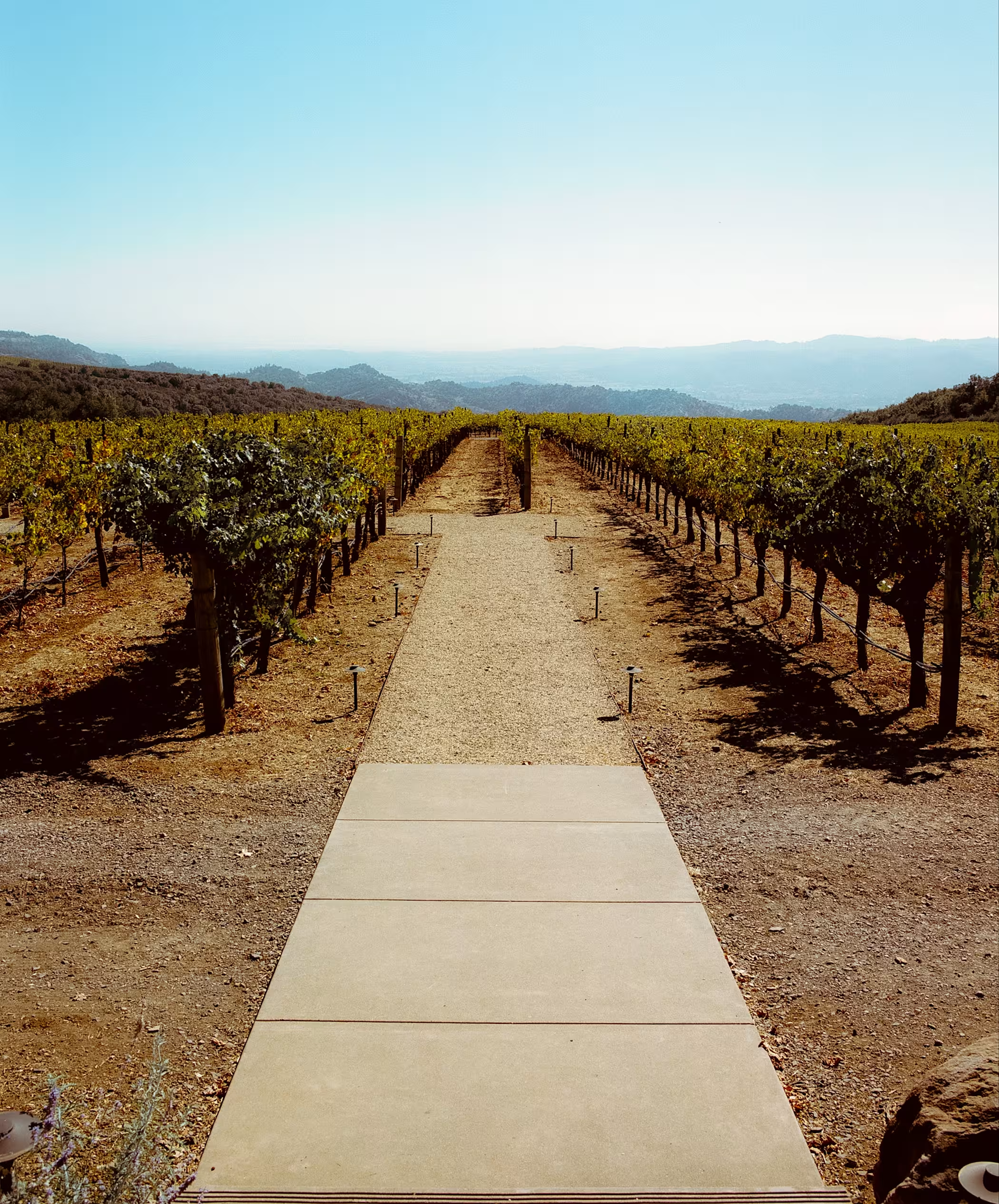 19 Winery 19 Winery