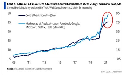 FANG & Fed's Excellent Adventure